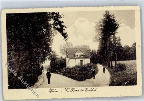 58553 W5884 Halver - Eichholz