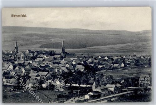 75217 W7534 Birkenfeld - 1914