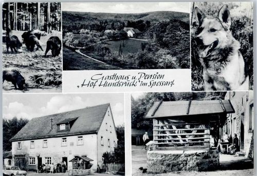 Eschau Gasthaus, Pension Hof Hundsrück, Brunnen, Hund