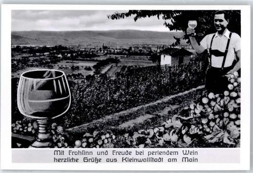 63839 W8751 Kleinwallstadt - Weinglas, Winzer, Weinberg