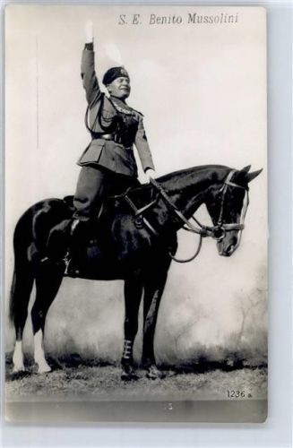 WK II Pferd Mussolini Foto AK