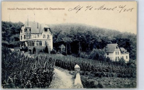 Alf 1908 Hotel Walddfrieden mit Dependance