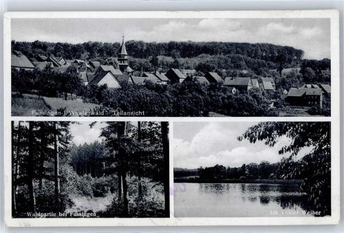Fussingen Vöhler Weiher