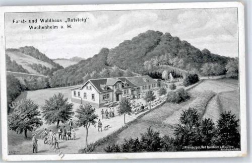 Wachenheim 1909 Forst und Waldhaus Rotsteig