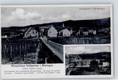 65375 W6227 Hallgarten , Rheingau - Gasthaus Winzerhaus