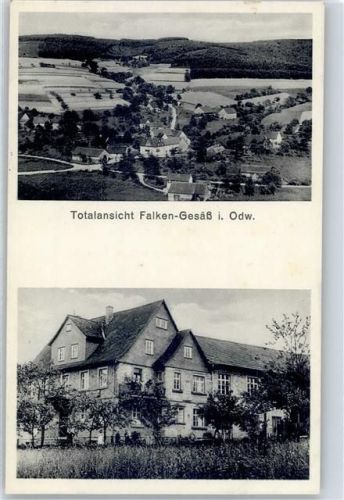 Falken-Gesäß Gasthaus zur Traube