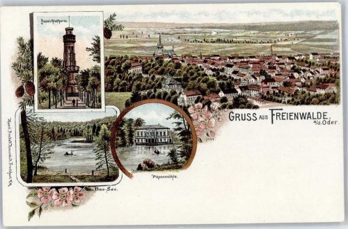 Bad Freienwalde Aussichtsturm Baa See Papenmühle