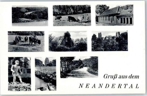 Neandertal