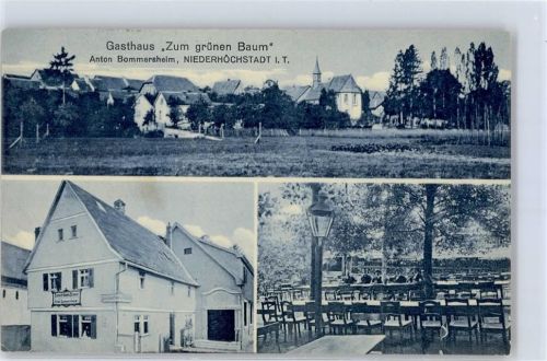 65760 W6236 Niederhöchstadt , Taunus - Gasthaus Zum grünen Baum