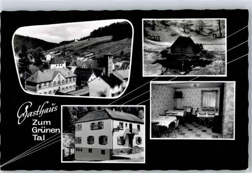 Waldleiningen Gasthaus Zum Grünen Tal