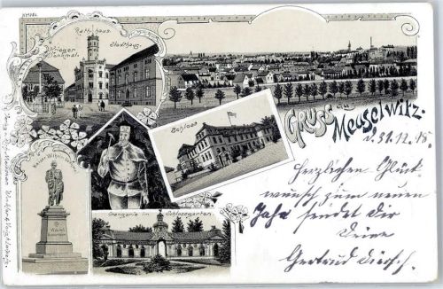 Meuselwitz 1898 Rathaus Kriegerdenkmal Stadthaus Orangerie Kaiser-Wilhelm-Denkmal Schloss