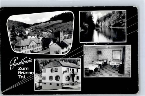 Waldleiningen Gasthaus Zum grünen Tal
