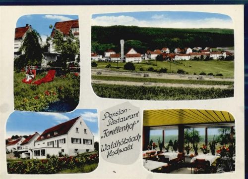 66679 W6646 Waldhölzbach - Pension Gasthaus Forellenhof