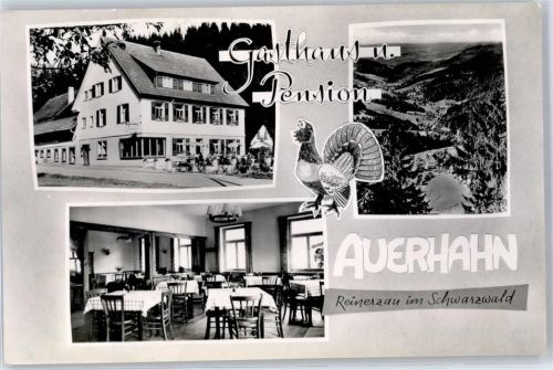 72275 W7297 Reinerzau - Gasthaus Pension Auerhahn