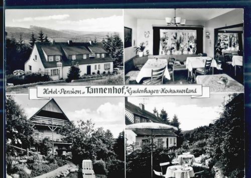 Gudenhagen-Petersborn Gasthaus Hotel Pension Tannenhof