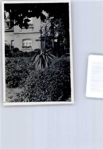 46459 W4242 Rees Privatfoto KEINE AK Ort handschriftlich