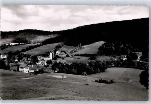 72275 W7297 Reinerzau Foto AK