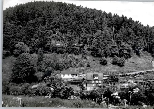 Diedenshausen Pension Dietzel
