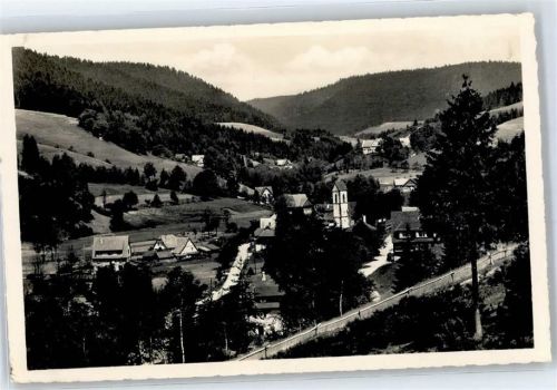72275 W7297 Reinerzau Foto AK