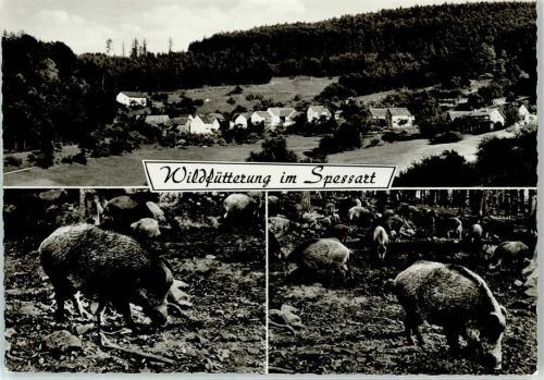56746 W5446 Spessart , Eifel