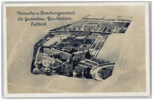 10115 W1000 Dahlem - Fliegeraufnahme Versuchs und Forschungsanstalt für Gartenbau