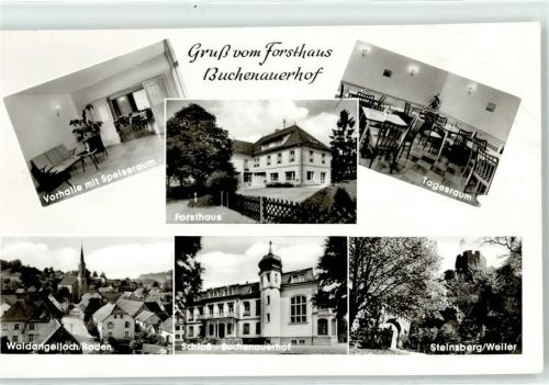 Sinsheim Schloss Buchenauerhof