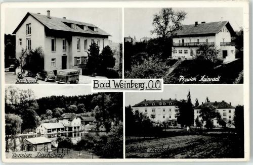 Weinberg Pension Dachsberg