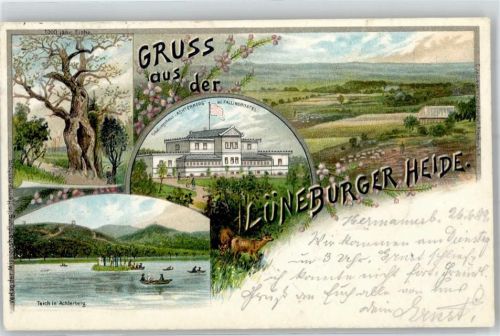 29683 W3032 Fallingbostel 1899 Künstlerkarte Teich Achterberg Erholungshaus