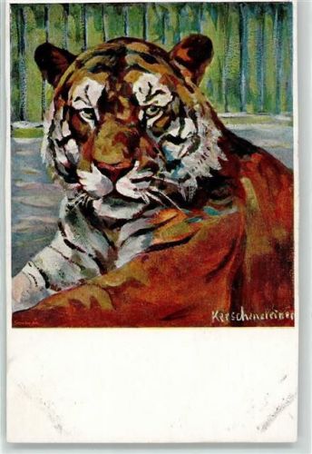 sign. Kerschensteiner Tiger Künstlerkarte