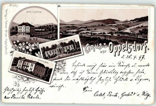 Bad Oppelsdorf Opolno Zdroj Lithographie / Künstlerkarte 1897 Hotel zum Kurhaus Albert Bad Carola Bad
