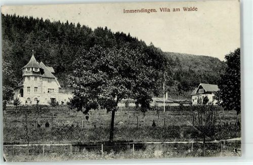 Immendingen Villa Am Walde
