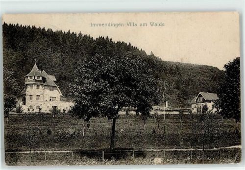 Immendingen 1915 Villa Am Walde