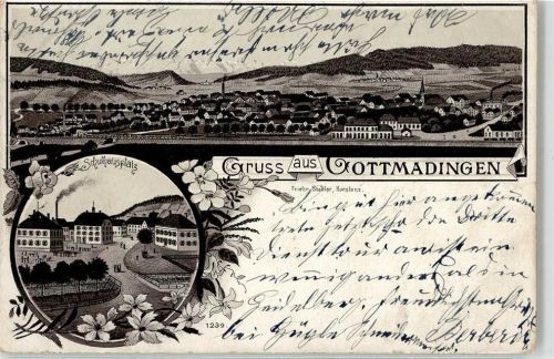78244 W7702 Gottmadingen 1902 - Schulhausplatz sign. Friedr. Stadler