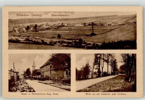 37603 W3450 Silberborn - Gasthaus Pension Aug.Kraaz Blick von Uslaerstraße Torfhaus