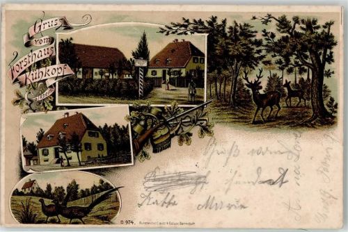 Erfelden 1908 Gasthaus Forsthaus Kühkopf Ort lt. Stempel
