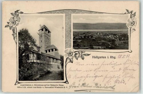 65375 W6227 Hallgarten , Rheingau 1913 - Aussichtsturm Schutzhaus Hallgarter Zange