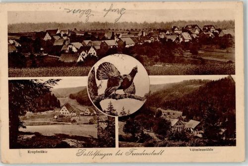 72297 W7291 Göttelfingen , Kr Freudenstadt - Kopfmühle Völmlesmühle