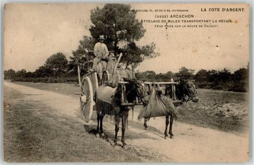 Le Verdon-sur-Mer 1922 Mulis Transportkarren Cote d´Argent
