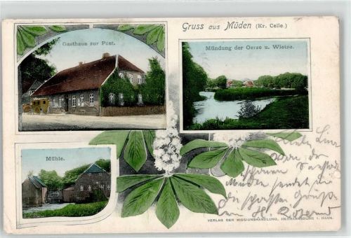 29328 W3105 Müden , Örtze 1904 Lithographie Gasthaus zur Post Mühle Mündung der Oerze und Wietze