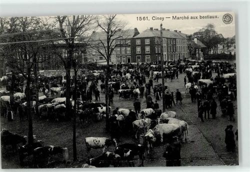 Ciney - Viehmarkt