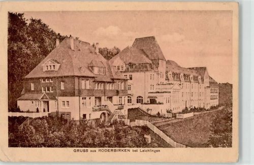Roderbirken