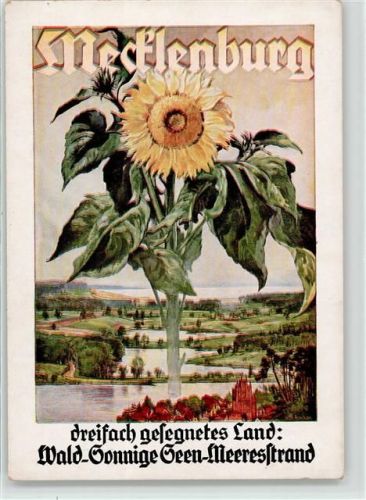 Sonnenblume