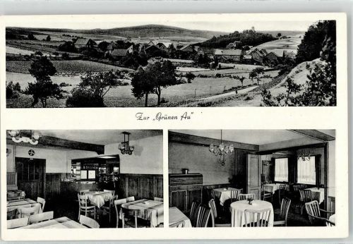 Aua Gasthaus Zur grünen Au