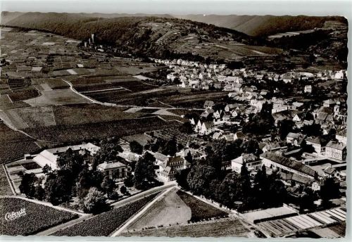 Wachenheim 1971 Fliegeraufnahme Wachtenburg