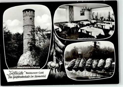Waldfriede Aussichtsturm Alteburg Gesellschaftsraum Gasthaus Trifthütte