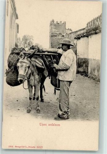 1904 - Tipos Andalusien Esel Volkstypen AK