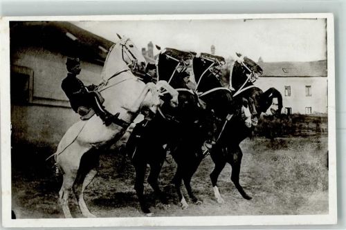 49400 Saumur - Ecole de Cavalerie Courbette