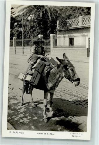 Malaga Volkstypen Burro de Carga - Esel AK