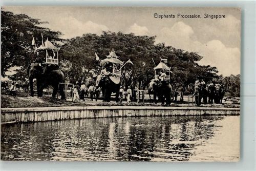 Singapore Elephants Procession