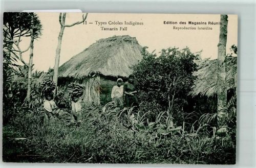 Tamarin Fall Kreolen